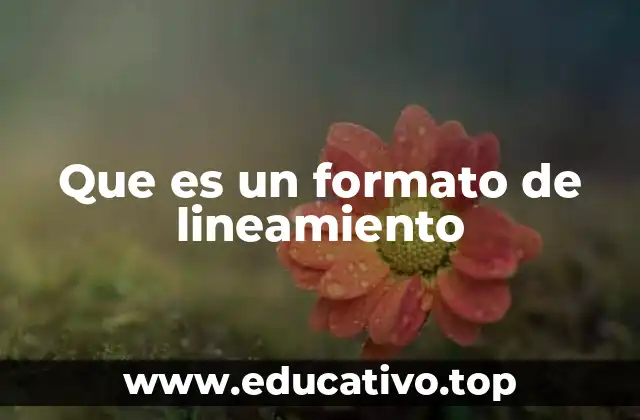 Que es un formato de lineamiento