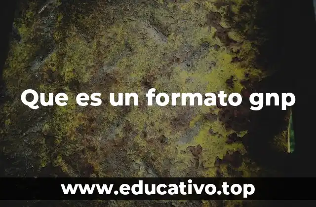 Que es un formato gnp