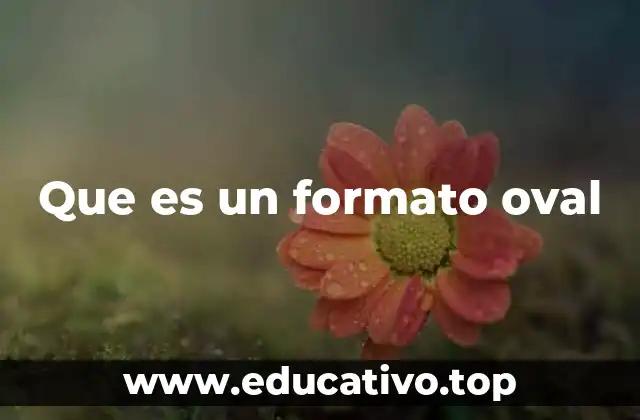 Que es un formato oval
