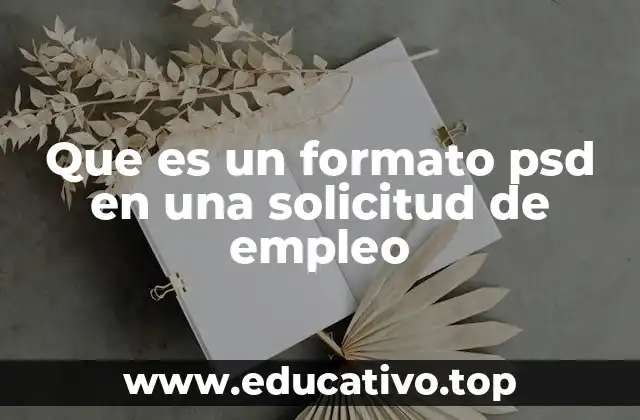 El papel del archivo PSD en la presentación creativa de una candidatura