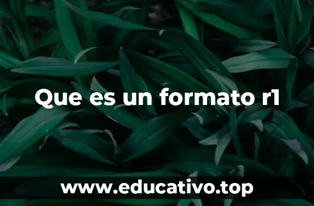 Que es un formato r1