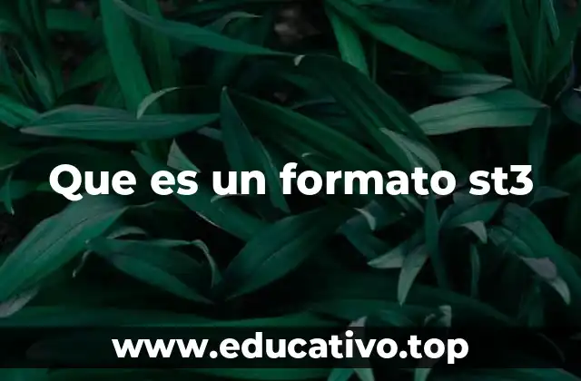 Que es un formato st3