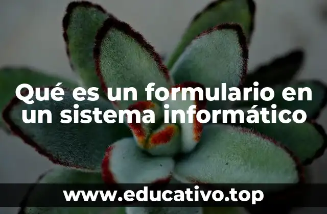 Qué es un formulario en un sistema informático