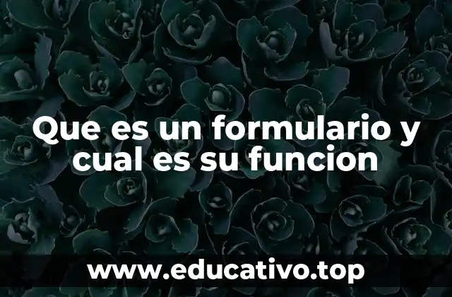 Que es un formulario y cual es su funcion