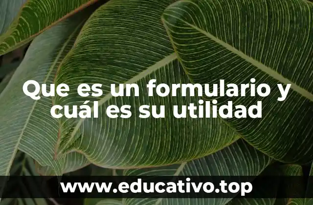 Que es un formulario y cuál es su utilidad