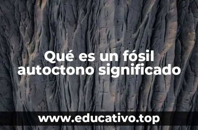 Qué es un fósil autoctono significado