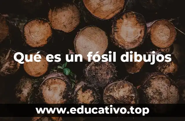 Qué es un fósil dibujos