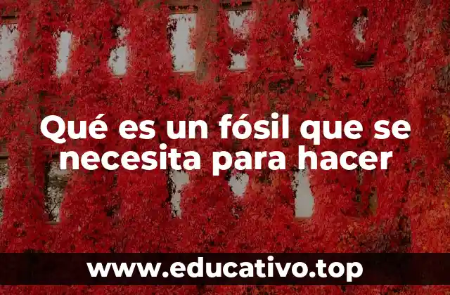 Qué es un fósil que se necesita para hacer
