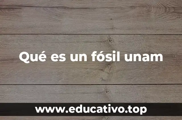 Qué es un fósil unam