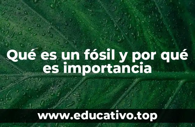Qué es un fósil y por qué es importancia