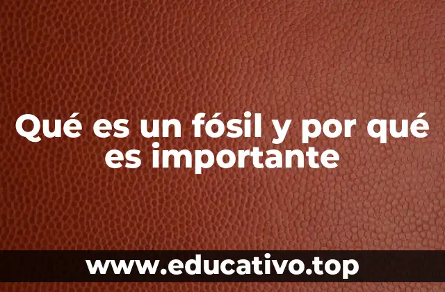 La historia detrás de los vestigios de la vida pasada