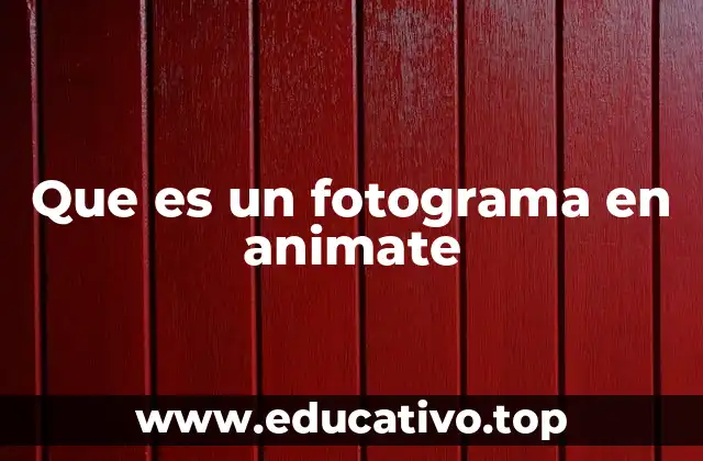 Que es un fotograma en animate