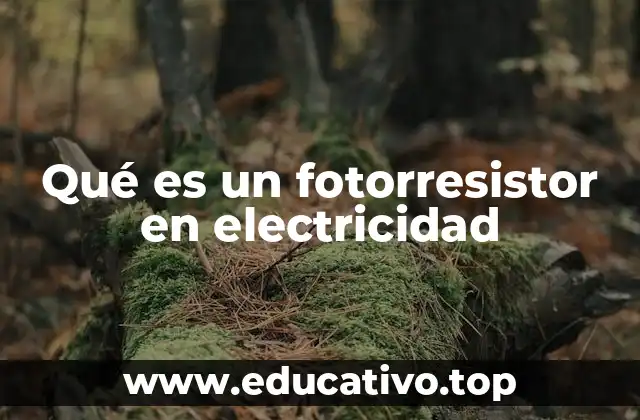 Qué es un fotorresistor en electricidad