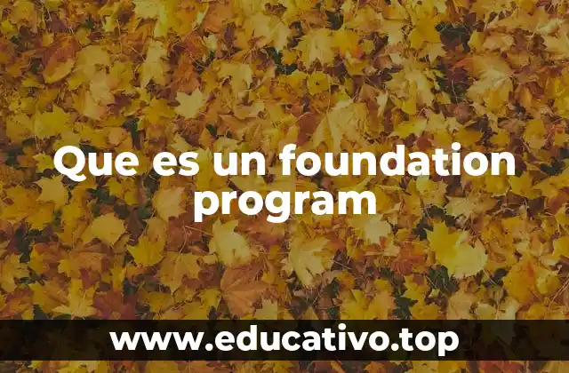 Que es un foundation program