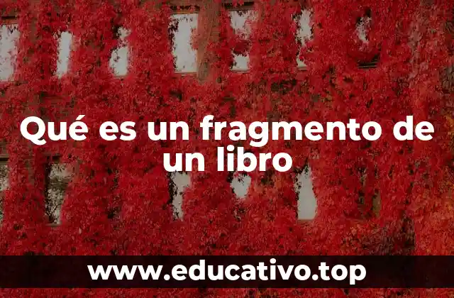 Qué es un fragmento de un libro