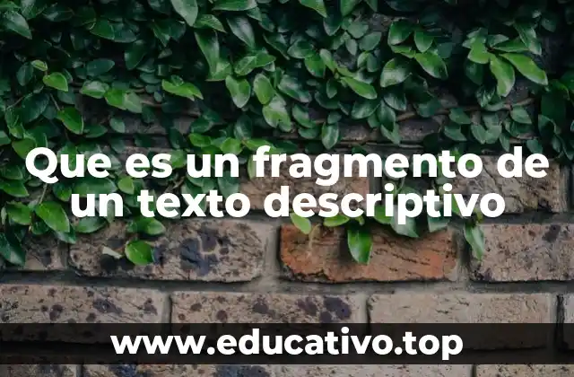 Que es un fragmento de un texto descriptivo