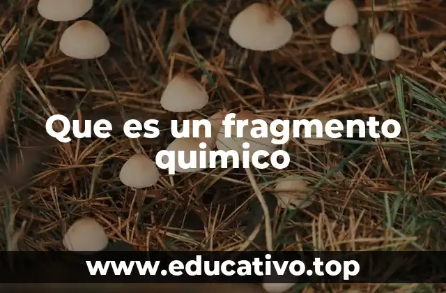 Que es un fragmento quimico