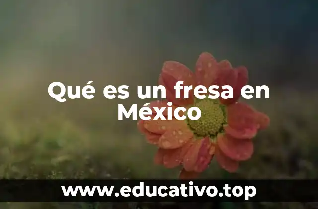Qué es un fresa en México
