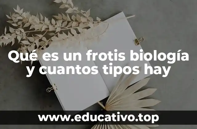Qué es un frotis biología y cuantos tipos hay