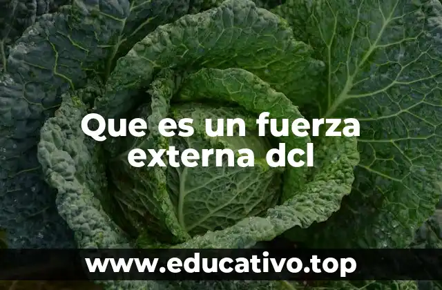 Que es un fuerza externa dcl