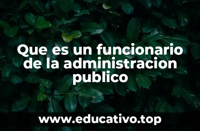 Que es un funcionario de la administracion publico