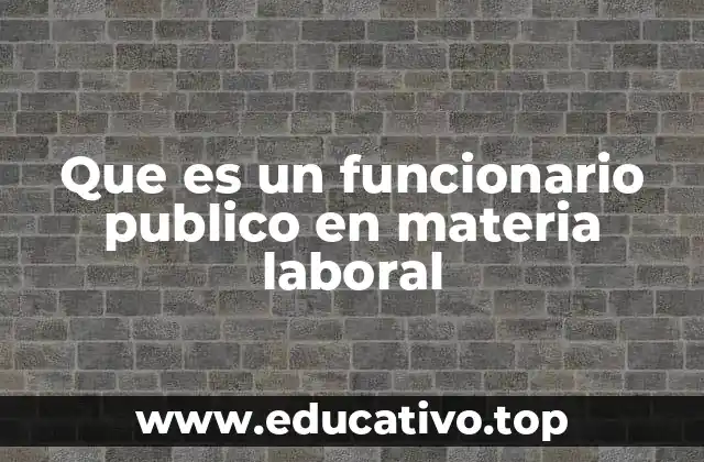 Que es un funcionario publico en materia laboral