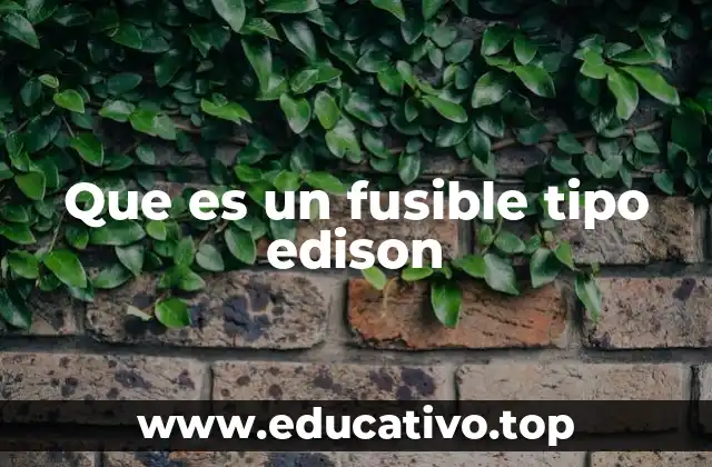 Que es un fusible tipo edison