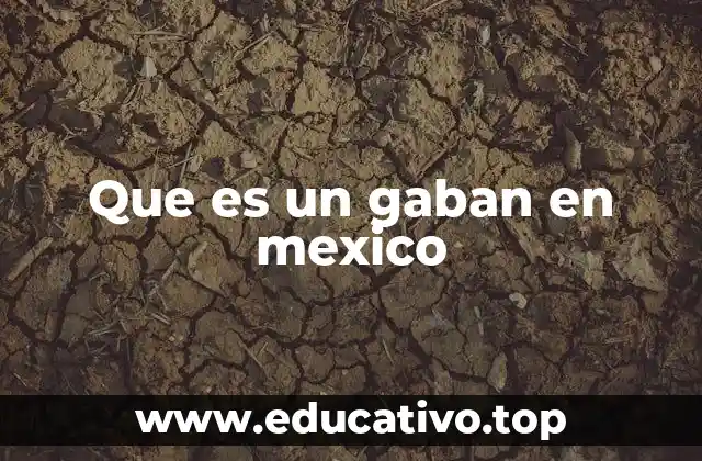 Que es un gaban en mexico