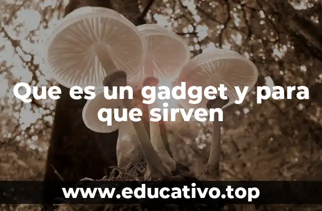 Que es un gadget y para que sirven