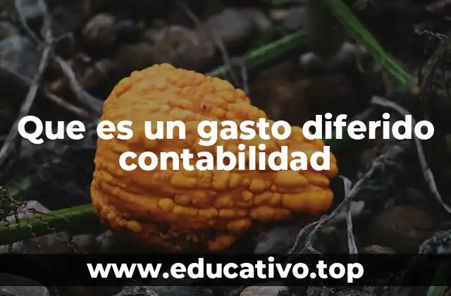 La importancia de reconocer gastos diferidos en la contabilidad empresarial