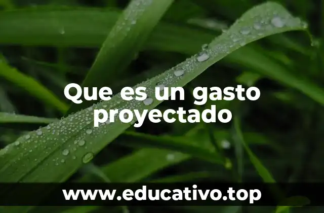 Que es un gasto proyectado