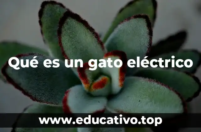 Qué es un gato eléctrico