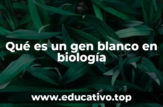 El rol del gen blanco en la investigación científica