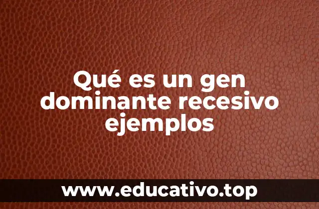 Qué es un gen dominante recesivo ejemplos
