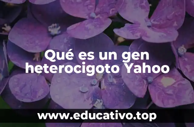 Qué es un gen heterocigoto Yahoo