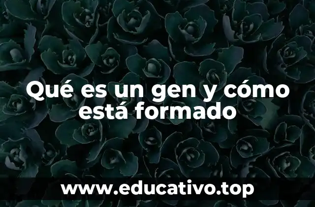 Qué es un gen y cómo está formado