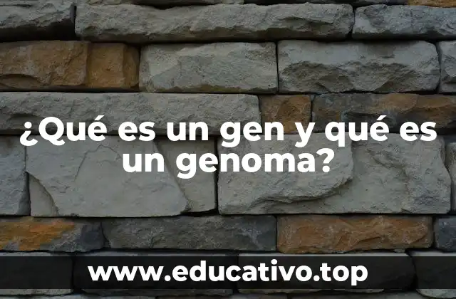 ¿Qué es un gen y qué es un genoma?