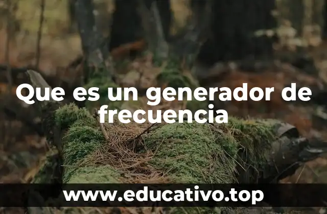 Que es un generador de frecuencia