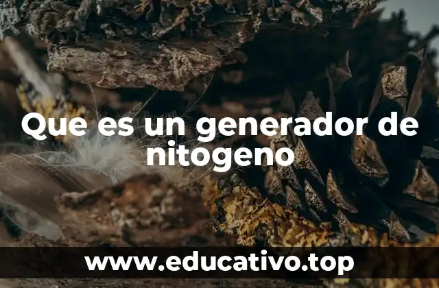 Que es un generador de nitogeno
