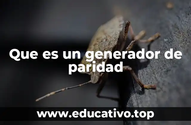 Que es un generador de paridad