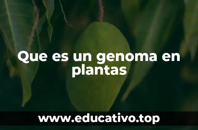 Que es un genoma en plantas