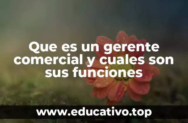 Que es un gerente comercial y cuales son sus funciones