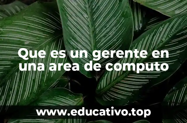 Que es un gerente en una area de computo