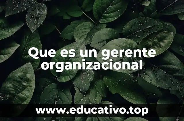 Que es un gerente organizacional