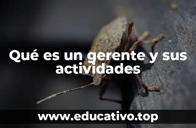 Qué es un gerente y sus actividades