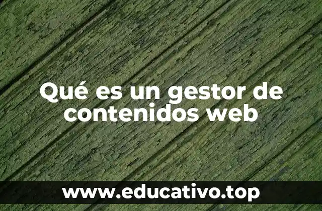 Cómo un gestor de contenidos web optimiza la gestión digital