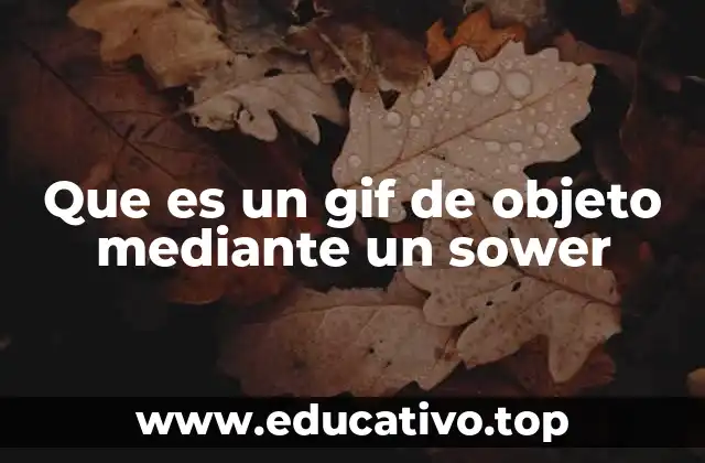 Que es un gif de objeto mediante un sower