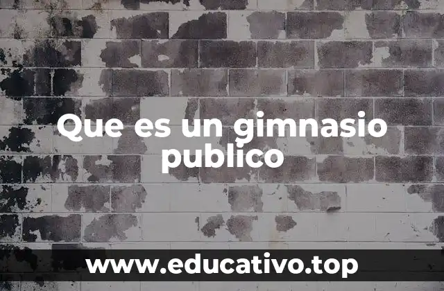 Que es un gimnasio publico