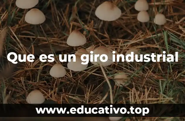 Que es un giro industrial