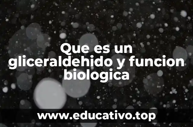 Que es un gliceraldehido y funcion biologica